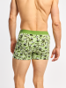 Pandas and Bamboo - Mens Fitted Trunks - Good Mood